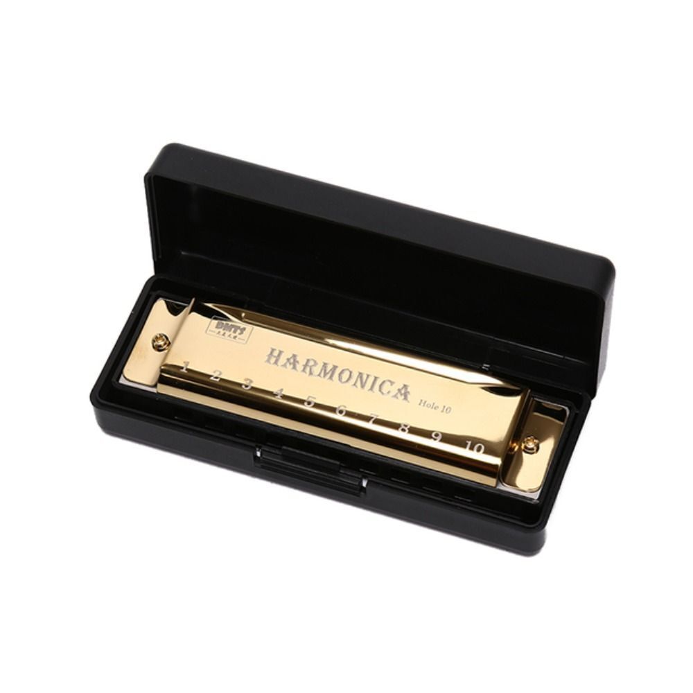 Harmonica Mouth Organ Puzzle Musical Instrument Beginner Teaching Metal 10 Hole - Picture 18 of 18
